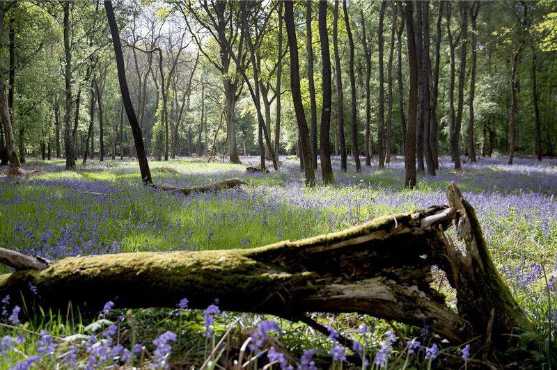 Wandelroutes in Hoegaarden