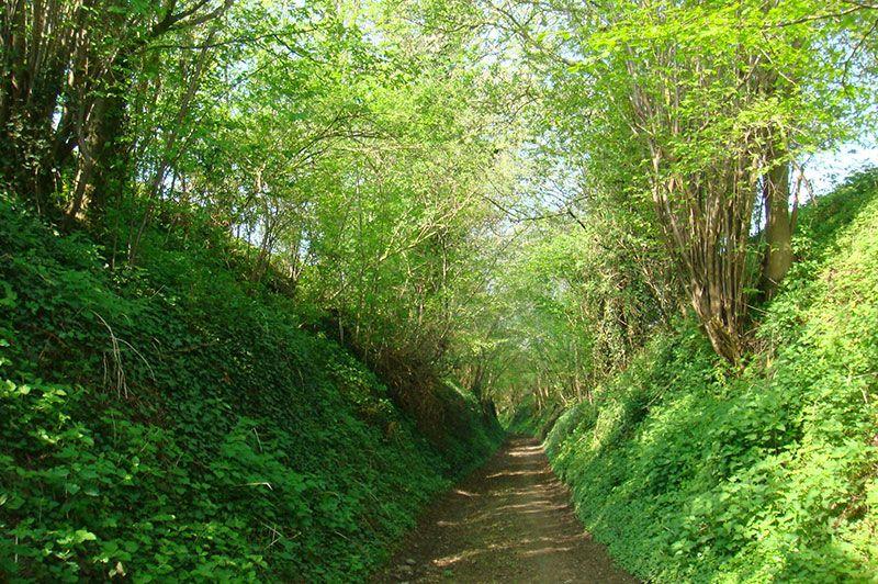 Holle wegenwandeling