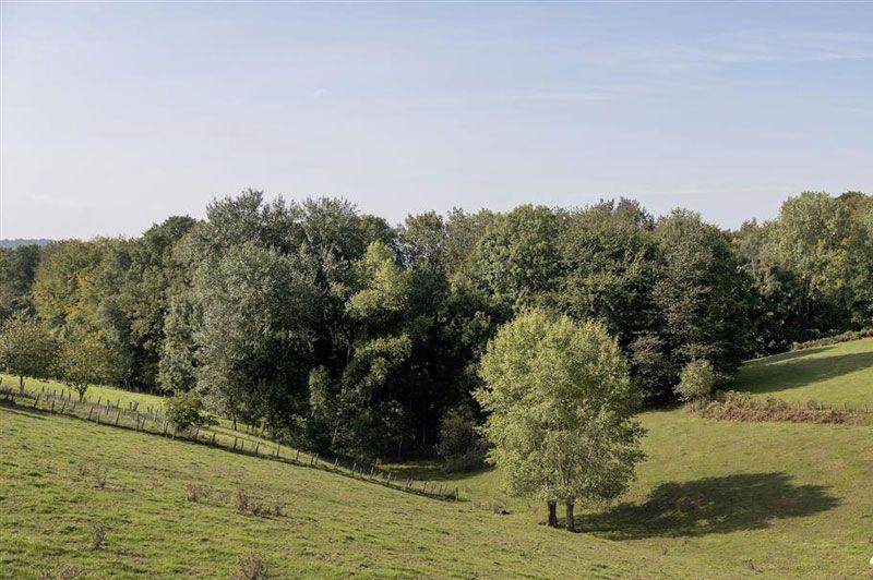 Kabouter wandelroute