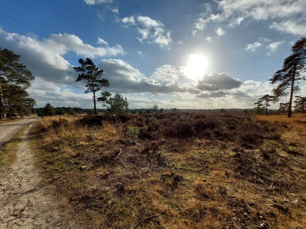 Start Kalmthoutse Heide - Ree