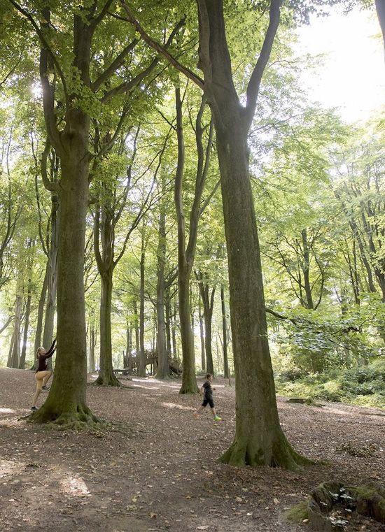 Kindvriendelijke wandeling