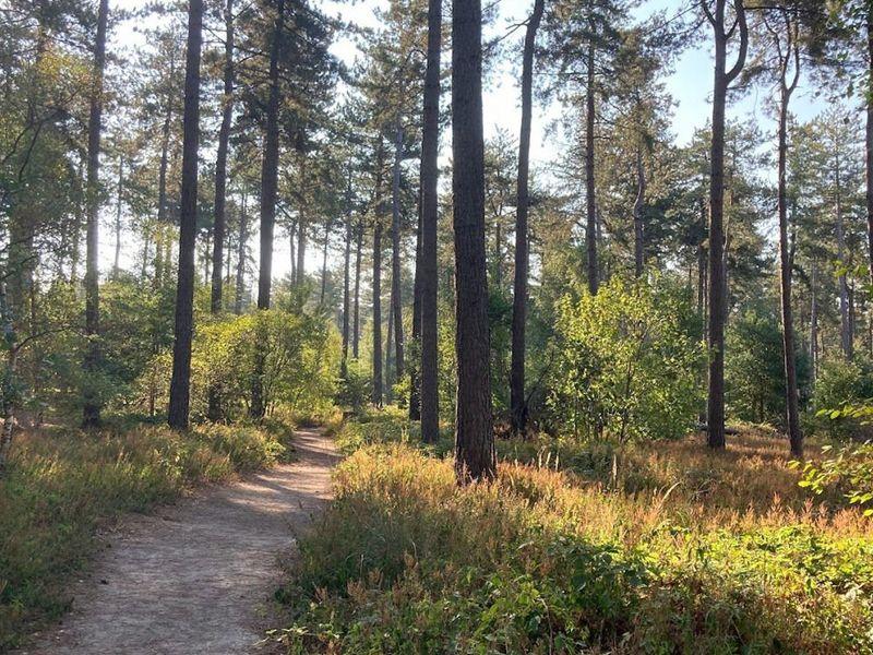 Kloosterbos