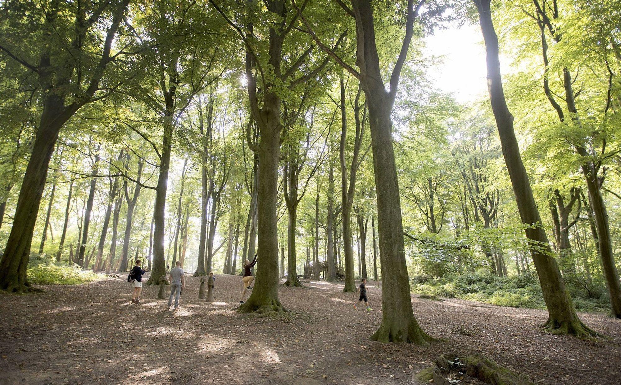 Wandelen in Kluisbergen