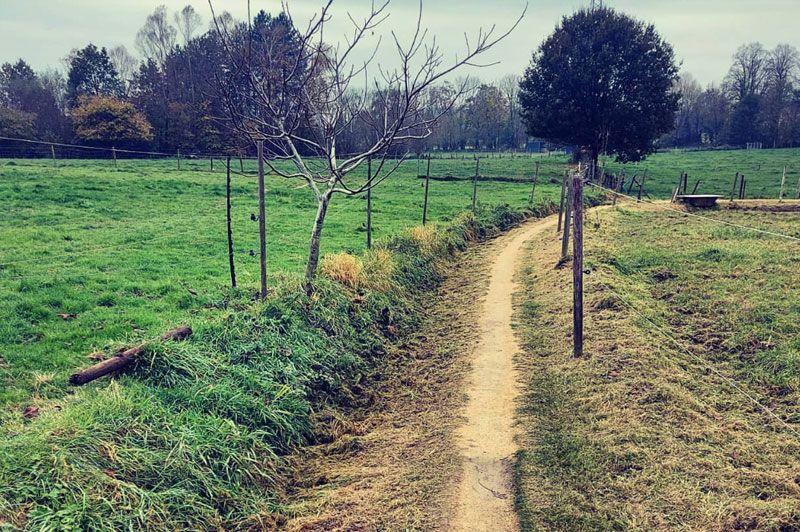 Wandelroutes in Kortenaken