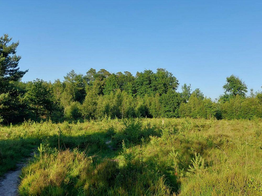Maldegemveld