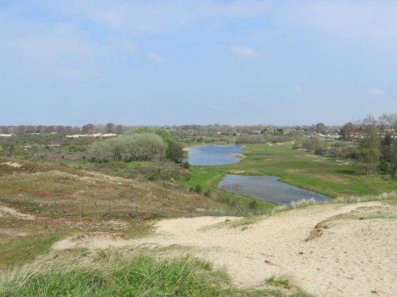 Natuurreservaat Doornpanne