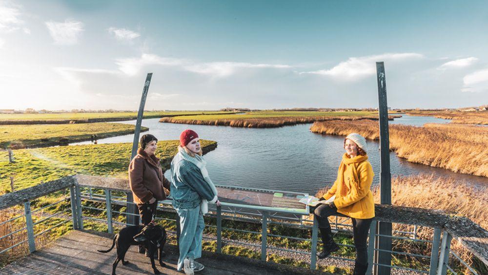 De Oostendse Krekenwandelroute: Een Natuurlijk Avontuur in Vlaanderen