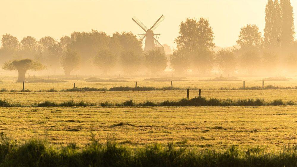 Oude Kalevallei