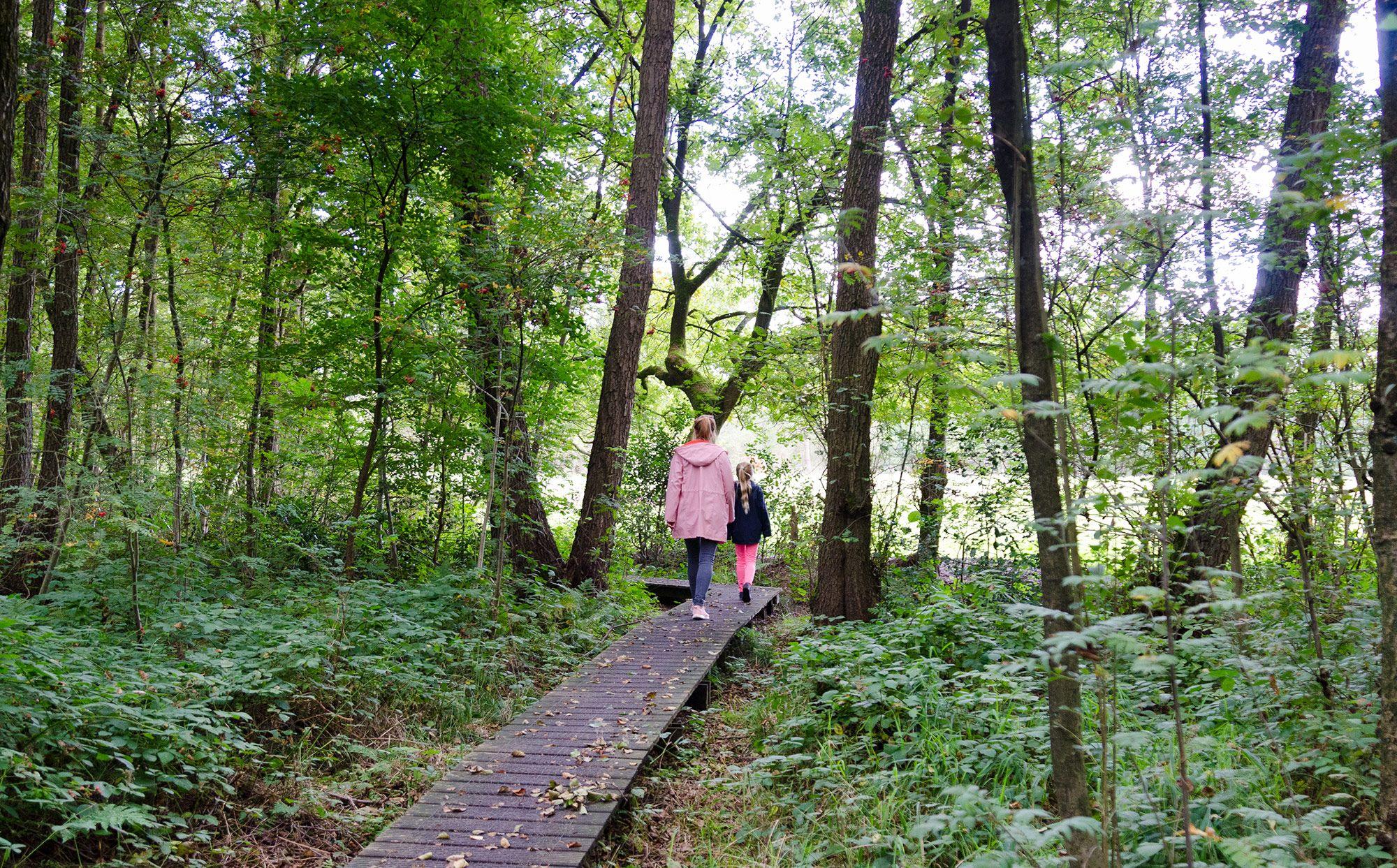 Wandelroutes in Peer