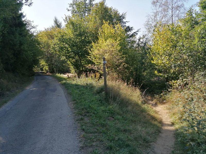 De mooiste wandelingen in Rendeux