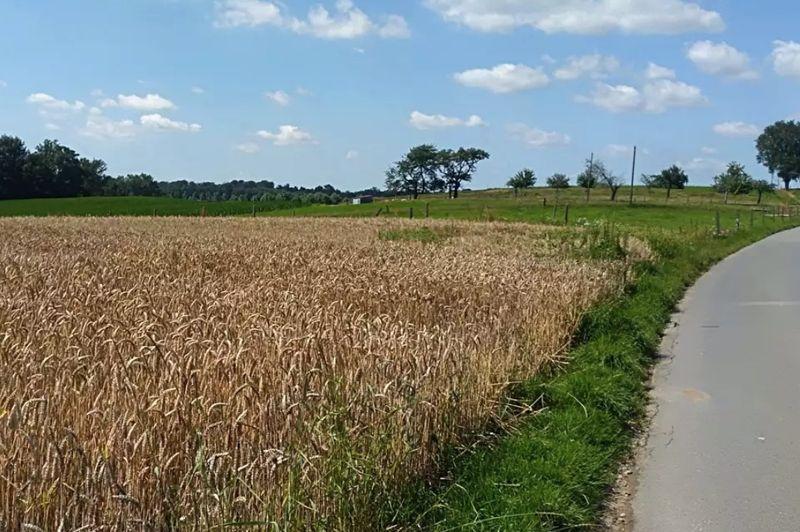 Wandelroutes in Sint-Amands