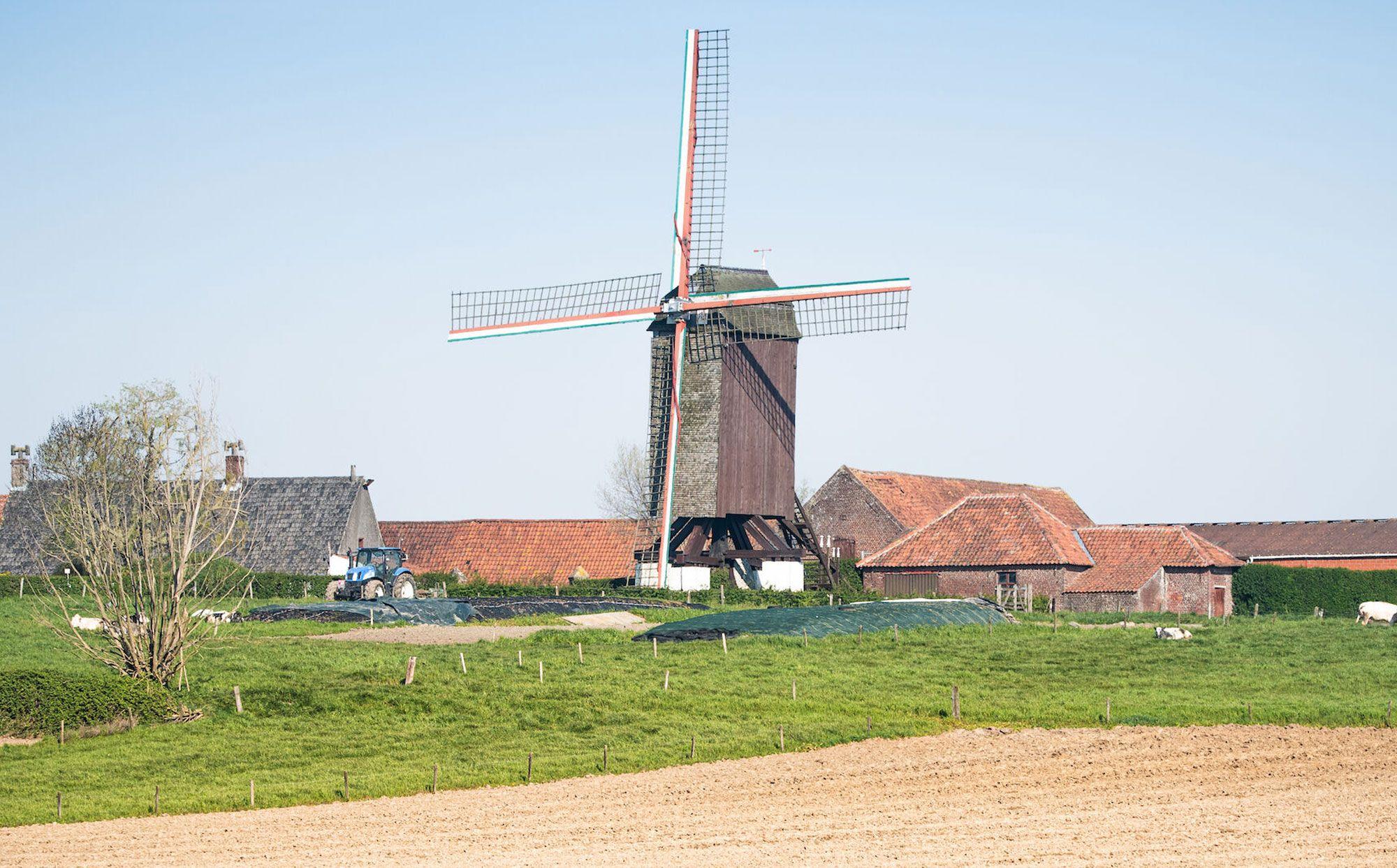 Wandeling in Tielt-Winge