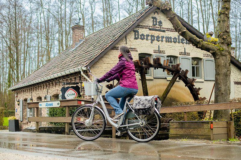 Trappen voorbij hoge duinen en grote grazers