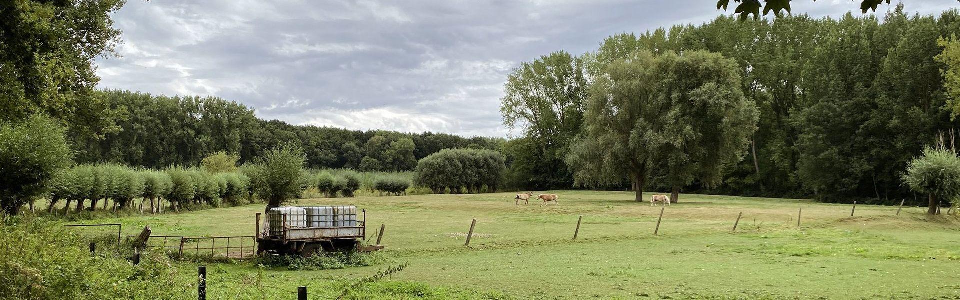 Tussen Zwalm en Dender