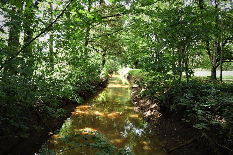 Vallei van de Zwarte Beek Zelem - Rood