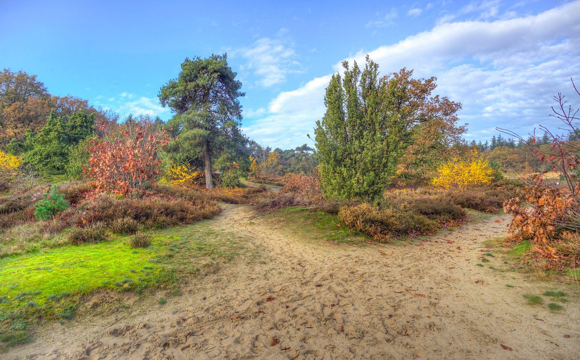 Drenthe