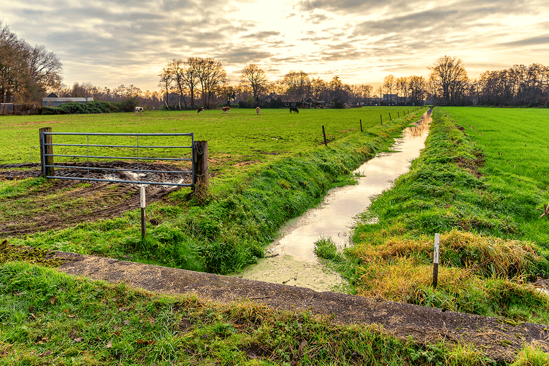 Wandelroutes in Nederland