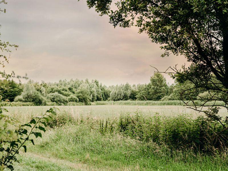 Wandelnetwerk Ieperboog Oost