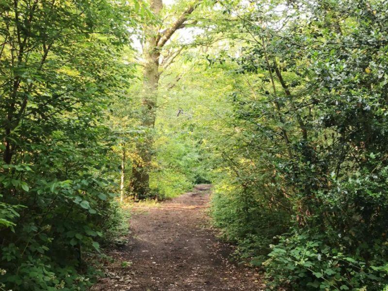 Wandelroutes in Zoersel