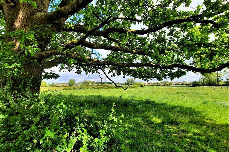 Zoutleeuw: De mooiste wandelingen