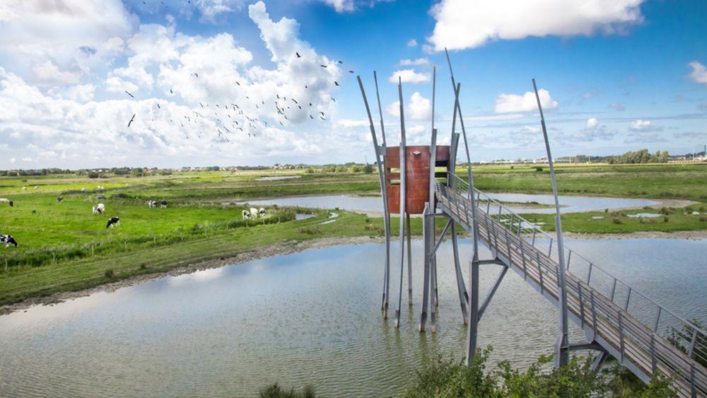 Zwaanhoek